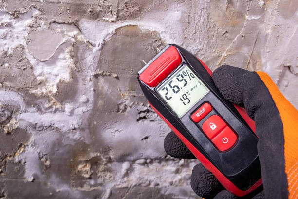 Best Insurance-Related Mold Remediation in Green Meadows, OH