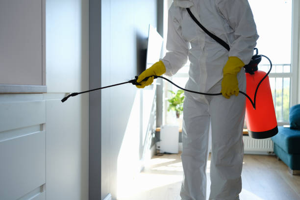 Best Commercial Mold Remediation in Green Meadows, OH